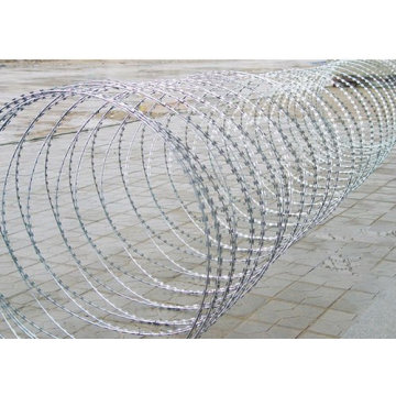 Venta caliente Razor Barbed Wire Mesh Fence